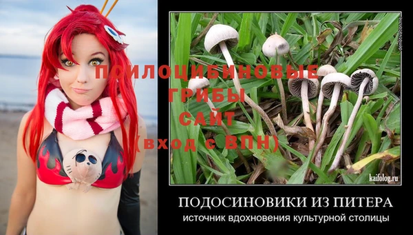 не бодяженный Армянск