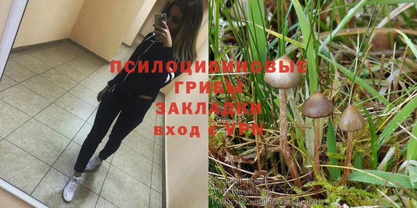 мет Арсеньев